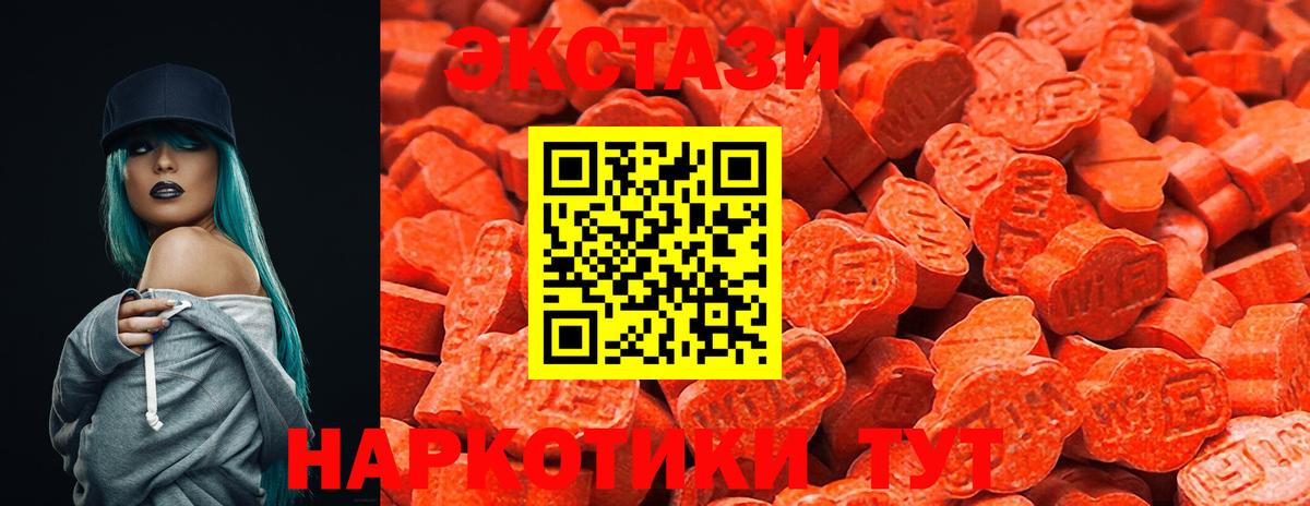 Ecstasy Philipp Plein  Вход с VPN  Мурманск 