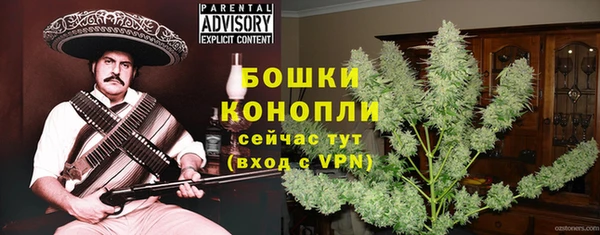 2c-b Надым