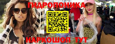 дурь Гусев
