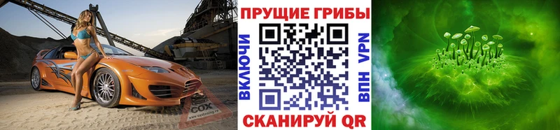 закладки  Мурманск  маркетплейс как зайти  Псилоцибиновые грибы Magic Shrooms 