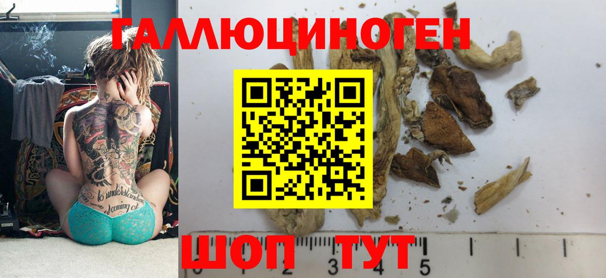 Псилоцибиновые грибы Cubensis Мурманск