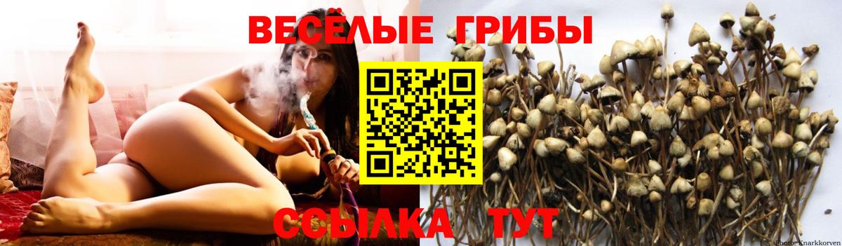 Псилоцибиновые грибы Magic Shrooms  Псилоцибиновые грибы Psilocybine cubensis  Мурманск  Вход с VPN 