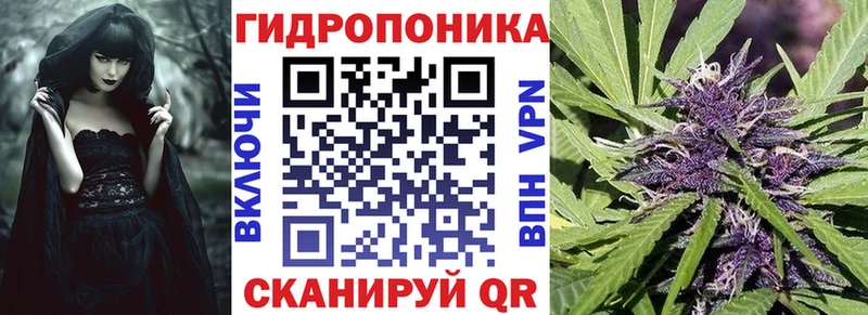 Канабис White Widow shop наркотические препараты Мурманск закладка